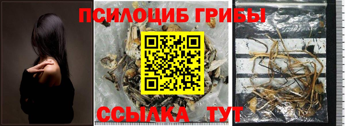 Псилоцибиновые грибы мицелий  Вход с VPN  Кострома 